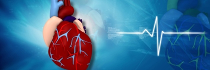 Menschliches Herz mit EKG